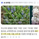 W15. 보테가마지오 본식 '플라워 바테' 부케 예약 후기