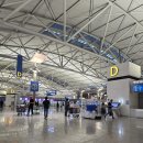 중동091 | 터키 항공 이스탄불 경유 헬싱키행 온라인 체크인 기내식