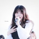 수연 이미지