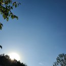 스피드메이트 이충점 이미지