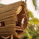 대나무집 이미지