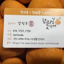 한라봉 잇수다 이미지