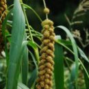 유카세탁 이미지