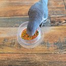 데일리프리티 이미지