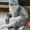 행복반찬 이미지