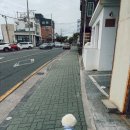 협재 별채 | 제주 서쪽 애견동반여행 - 협재 화덕 샌드위치 맛집 공훈브런치 내돈내산 후기