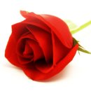 다섯손가락 이미지