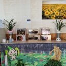 주치골사람들 이미지