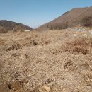 대전리농장 이미지