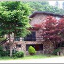 펠리스펜션 이미지