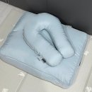 은봉애견 | 강아지방석 호무로 애견쿠션 바디필로우 후기