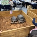 즐거운 사진 생활 | 텐디의 즐거운 이중생활