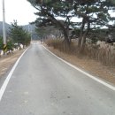 승봉도_캠핑장 이미지