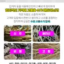 부강내과의원 이미지