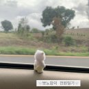 28w👶🏻🐻 뽀뇨맘의 세브란스 전원일기
