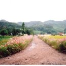 가곡삼거리 이미지