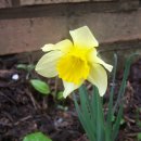 구수리 낚시터 이미지