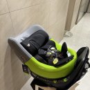 (주)주양메디칼 | [임신 23주] 아기 카시트 스완두 마리5 내돈내산 후기