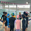 짐나지움 리틀 & 스위머스 탄 이미지