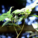 스테이오 이미지