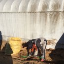 병훈농장 이미지