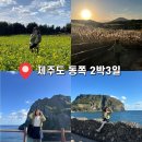 히잇 | 바다도 있는 사계절 다 보고 온 나 혼자 혼여행 후기/구좌읍종달리 숙소 추천/맛집 추천/제주도 코스 추천