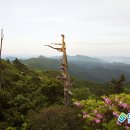 무주덕유산리조트산림욕장 네이버블로그
