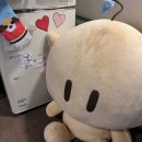 웰컴 의정부: 종가의 하루(6월) | 6월 사진이 가득📸