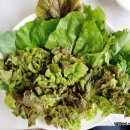 경희식당1호점 이미지