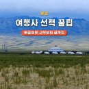 [몽골] 좋은 여행사 찾는 꿀팁