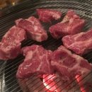 미스터양 이미지