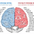 고려튼튼태권도 이미지