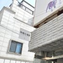 강남 컨셉스튜디오 루체드앙쥬 공주 프로필 인생샷 후기