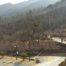 미숭산자연휴양림 이미지