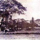 괘릉리할머니 이미지