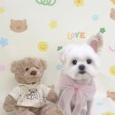 GS25 나주달빛마을점 | 현이의 일상🩵💜