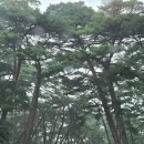 문경대학교 | 상주 장각폭포,무료 구명조끼까지|아이와 가기 좋은 여름 물놀이 계곡 솔직 후기.
