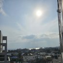 안덕농협주유소 이미지