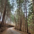 방장산민박 이미지