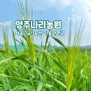 버들농원 | 서울 근교 여행 가볼 만한 곳 추천 경기 양주 나리 농원