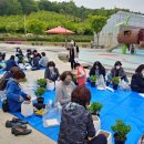 한국힐링교육연합회 네이버블로그