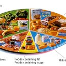 우리 푸드(food)