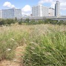 부개공원 이미지