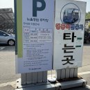 서울 노을공원 너무 예쁜 야외웨딩스냅 촬영 숨고 더블진스냅(Double Jin 스냅) 추천