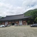 범어사로 | 부산여름휴가 마지막 코스 금정산 범어사 후기