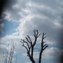 그늘과 빛의 기억 이미지