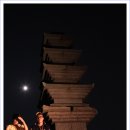 달빛연구소 이미지