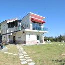 로젤 147 네이버블로그