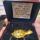 금거북