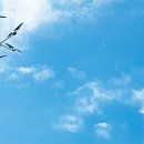 상모리-16 이미지